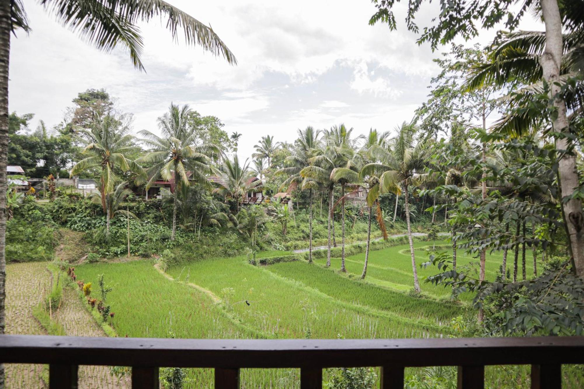 Nea Cottage Lombok Тетебату Екстериор снимка