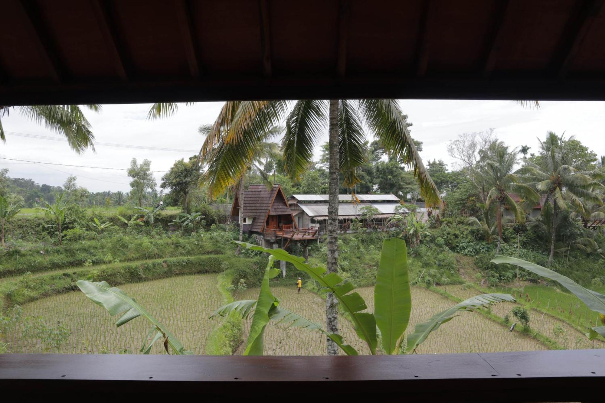 Nea Cottage Lombok Тетебату Екстериор снимка