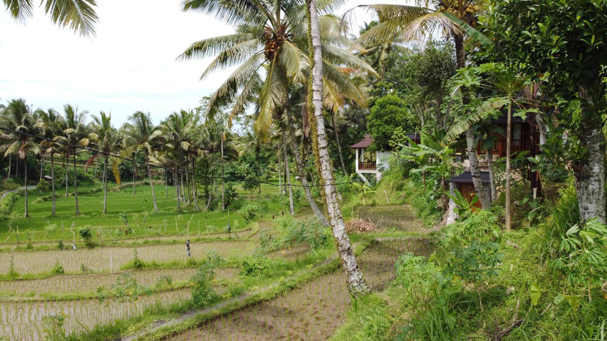 Nea Cottage Lombok Тетебату Екстериор снимка