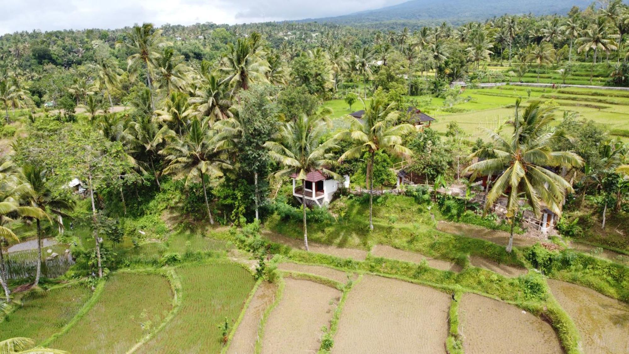 Nea Cottage Lombok Тетебату Екстериор снимка