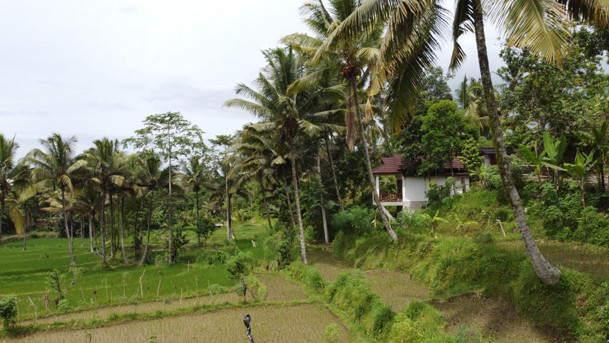 Nea Cottage Lombok Тетебату Екстериор снимка