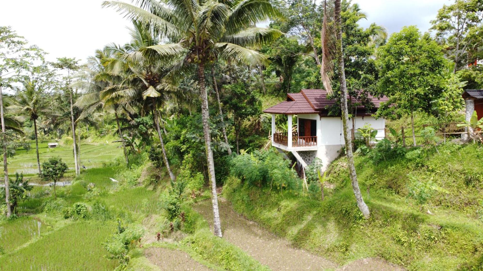 Nea Cottage Lombok Тетебату Екстериор снимка