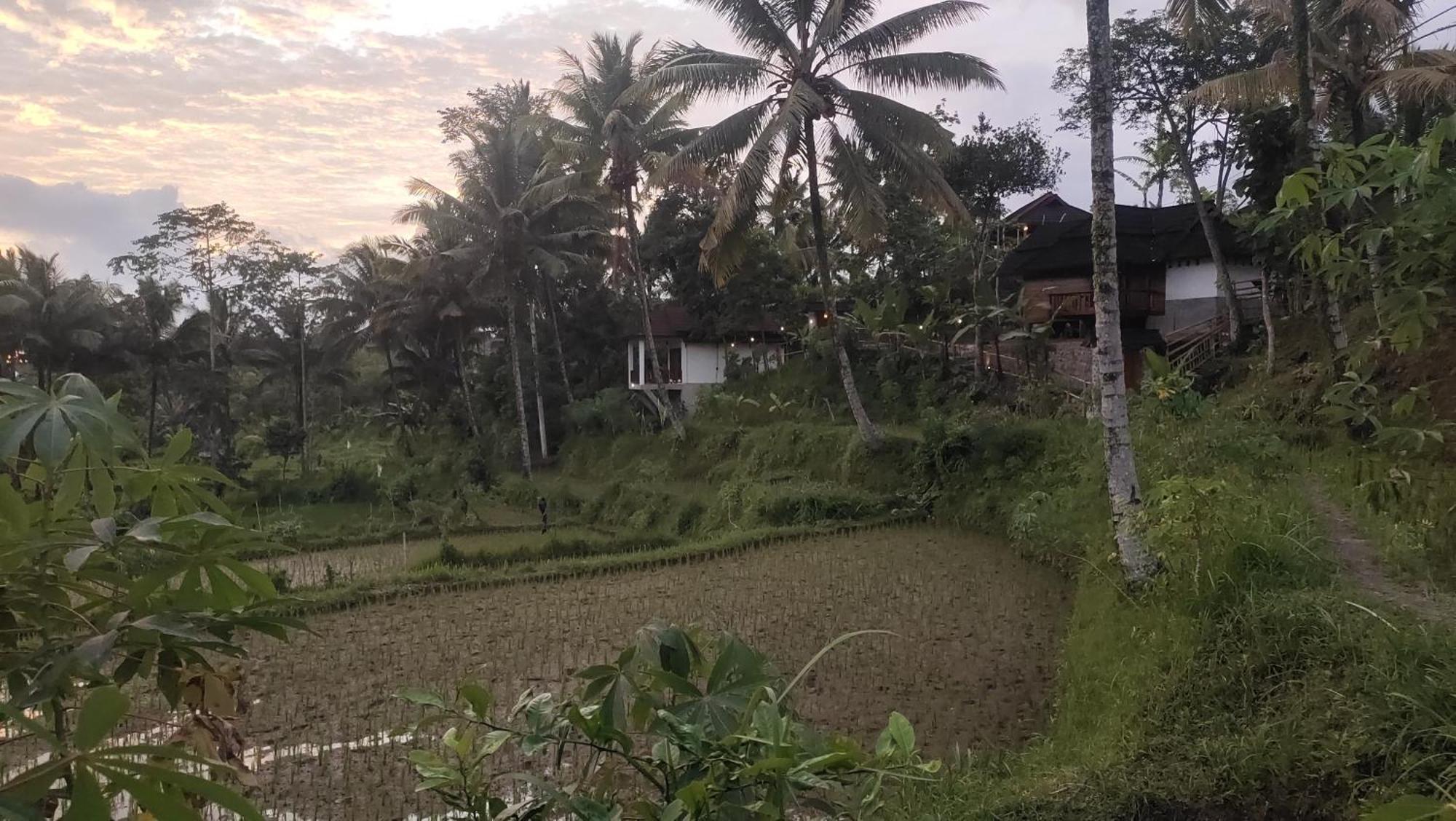 Nea Cottage Lombok Тетебату Екстериор снимка